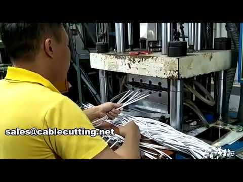 WPM-701-4.5T Spritzgießmaschine – Präzision mit 4,5 Tonnen Schließkraft
