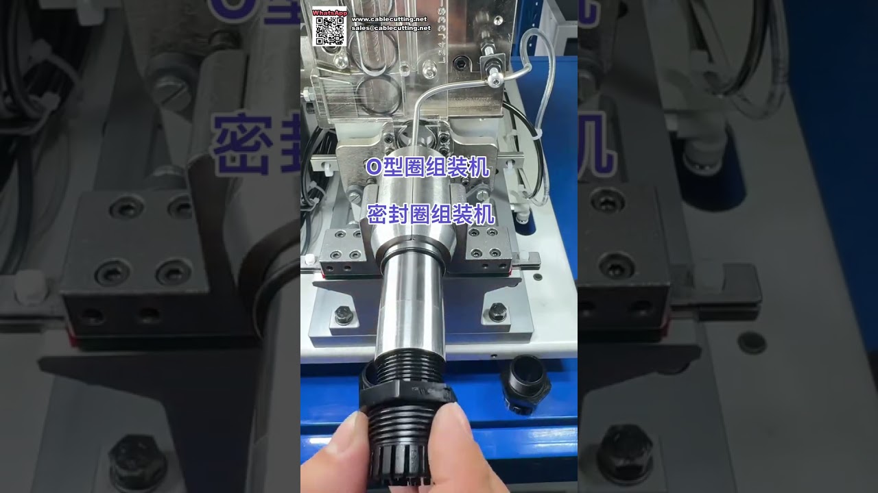 Hocheffiziente automatische Montagetechnik für O-Ringe und Dichtungskomponenten