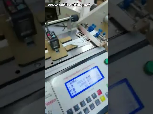 Hochgeschwindigkeits-Heiß- und Kaltetikettenschneidemaschine | Automatische Etikettenschneidemaschine