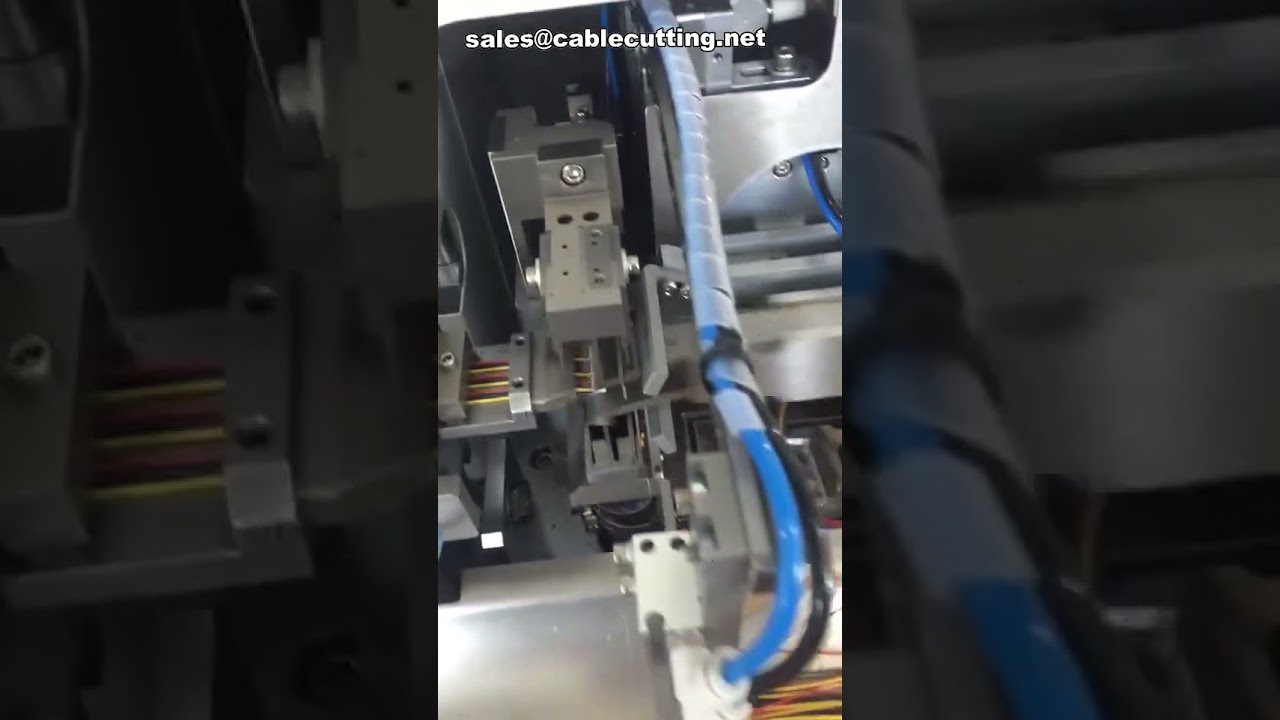 Automatische Gehäuse-Montagemaschine: Drahtgehäuse-Crimpen & Verzinnen in Aktion