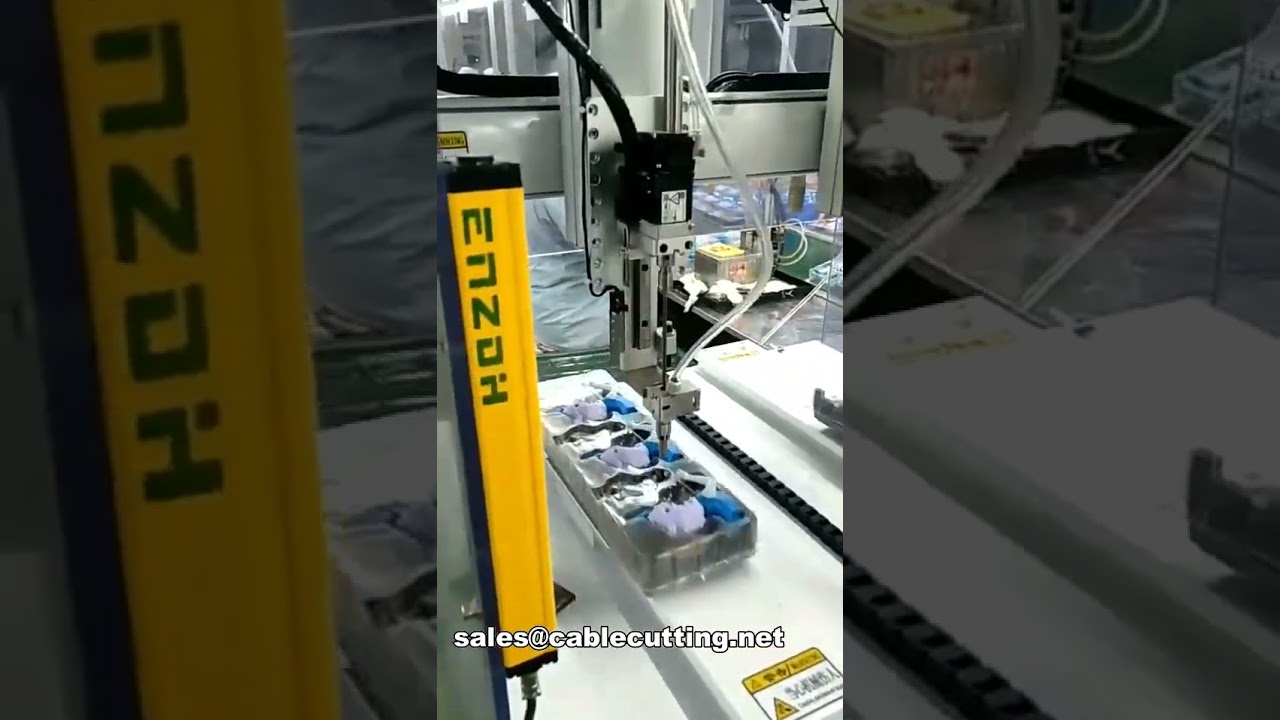 Automatische Tisch-Schraubmaschine für Spielzeug & Elektronik – WPM-4220-2Z Präzisionsautomat