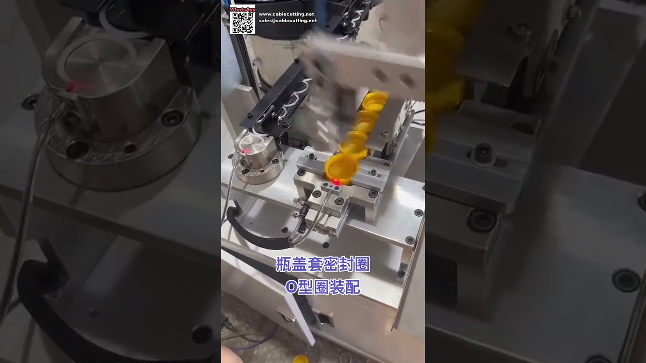 Exportqualität Automatische O-Ring-Montagemaschine für Silikondichtungskomponenten