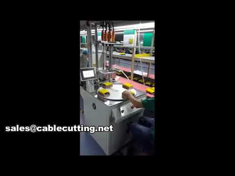 Automatische Schraubverriegelungsmaschine WPM-803 – Effizienz für Ihre Fertigungslinie