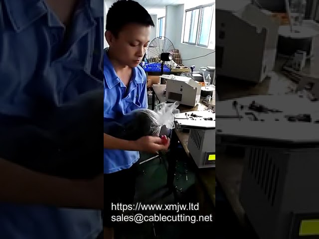 WPM Brotbeutel-Verschließmaschine: Automatischer Twist Tie Verschluss für Bäckereien