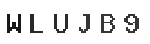 Verification Code Image